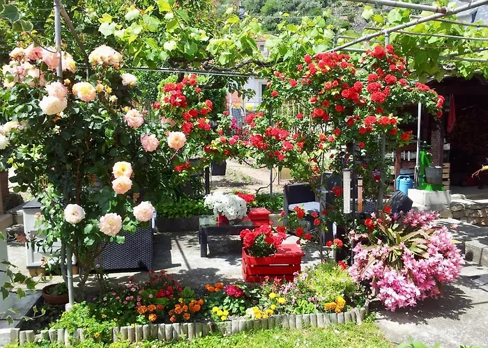 Da Marinella * Diano Borello