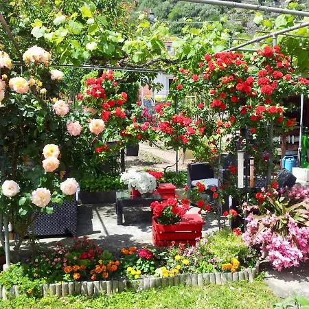 Da Marinella * Diano Borello