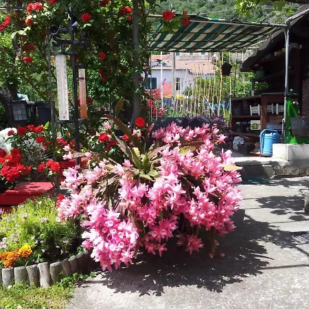 Apartman Da Marinella *